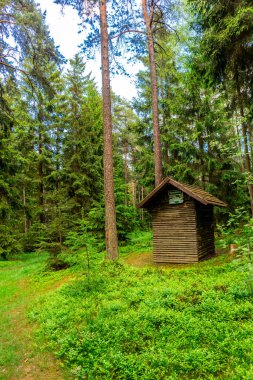Oberweibach - Thüringen - Almanya yakınlarındaki Leibis-Lichte barajı etrafında yürüyüş