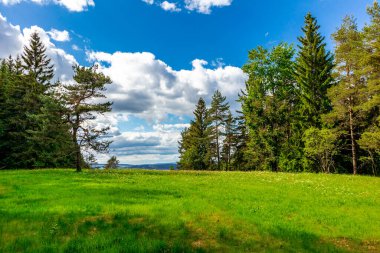 Oberweibach - Thüringen - Almanya yakınlarındaki Leibis-Lichte barajı etrafında yürüyüş