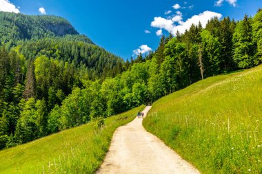 Berchtesgaden Alp eteklerinde, Wimbachtal - Bavyera - Almanya