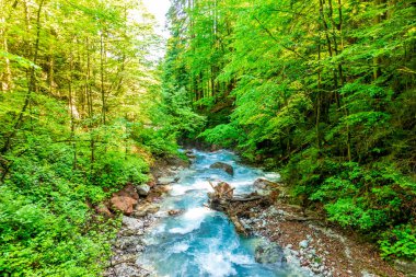 Berchtesgaden Alp eteklerinde, Wimbachtal - Bavyera - Almanya