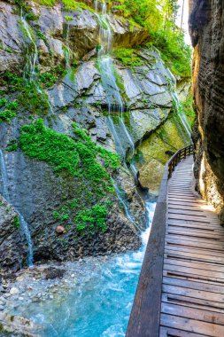 Berchtesgaden Alp eteklerinde, Wimbachtal - Bavyera - Almanya