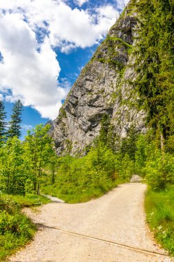 Berchtesgaden Alp eteklerinde, Wimbachtal - Bavyera - Almanya