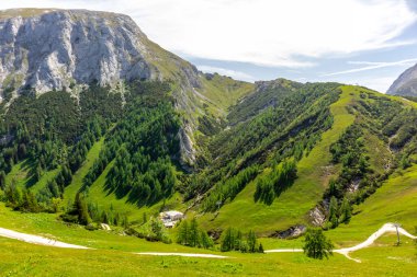 Berchtesgaden Alp etekleri boyunca güzel bir keşif turu Jenner - Bavyera - Almanya