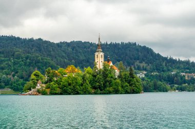 Pokljuka Platosu - Gorenjska - Slovenya