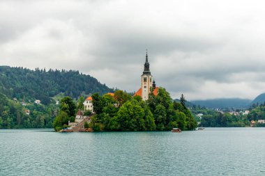 Pokljuka Platosu - Gorenjska - Slovenya