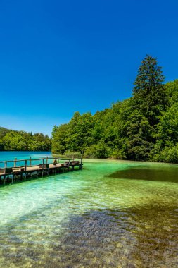 Güzel Plitvice Gölleri Ulusal Parkı 'nda keşif turu - Hırvatistan