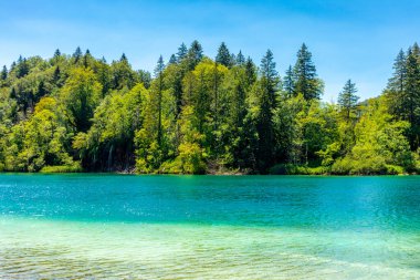 Güzel Plitvice Gölleri Ulusal Parkı 'nda keşif turu - Hırvatistan