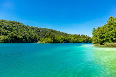 Güzel Plitvice Gölleri Ulusal Parkı 'nda keşif turu - Hırvatistan