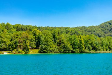Güzel Plitvice Gölleri Ulusal Parkı 'nda keşif turu - Hırvatistan