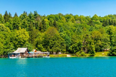 Güzel Plitvice Gölleri Ulusal Parkı 'nda keşif turu - Hırvatistan