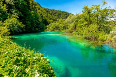 Güzel Plitvice Gölleri Ulusal Parkı 'nda keşif turu - Hırvatistan