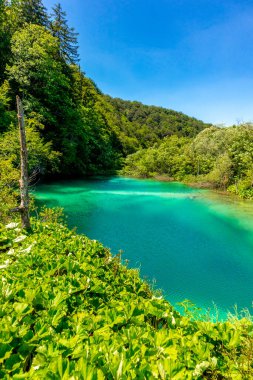 Güzel Plitvice Gölleri Ulusal Parkı 'nda keşif turu - Hırvatistan