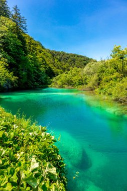 Güzel Plitvice Gölleri Ulusal Parkı 'nda keşif turu - Hırvatistan
