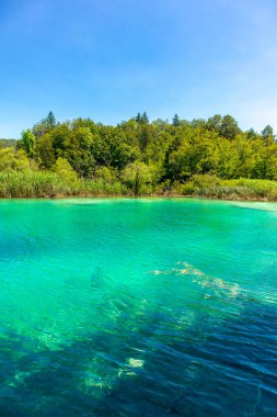 Güzel Plitvice Gölleri Ulusal Parkı 'nda keşif turu - Hırvatistan
