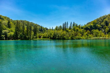 Güzel Plitvice Gölleri Ulusal Parkı 'nda keşif turu - Hırvatistan