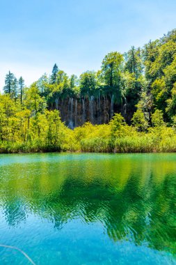 Güzel Plitvice Gölleri Ulusal Parkı 'nda keşif turu - Hırvatistan
