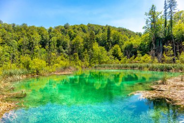 Güzel Plitvice Gölleri Ulusal Parkı 'nda keşif turu - Hırvatistan