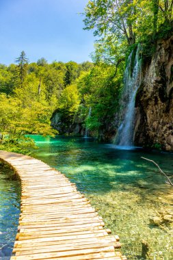 Güzel Plitvice Gölleri Ulusal Parkı 'nda keşif turu - Hırvatistan
