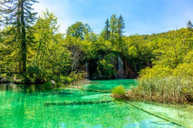 Güzel Plitvice Gölleri Ulusal Parkı 'nda keşif turu - Hırvatistan