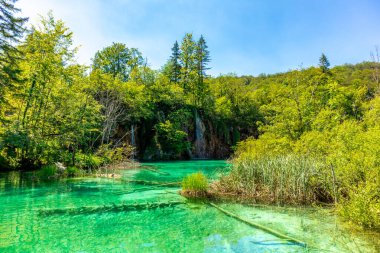 Güzel Plitvice Gölleri Ulusal Parkı 'nda keşif turu - Hırvatistan