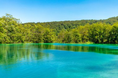 Güzel Plitvice Gölleri Ulusal Parkı 'nda keşif turu - Hırvatistan