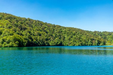 Güzel Plitvice Gölleri Ulusal Parkı 'nda keşif turu - Hırvatistan