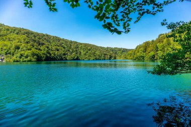 Güzel Plitvice Gölleri Ulusal Parkı 'nda keşif turu - Hırvatistan