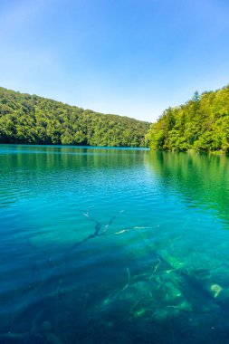 Güzel Plitvice Gölleri Ulusal Parkı 'nda keşif turu - Hırvatistan