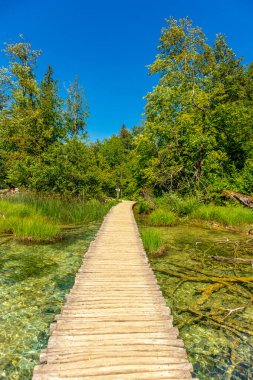 Güzel Plitvice Gölleri Ulusal Parkı 'nda keşif turu - Hırvatistan