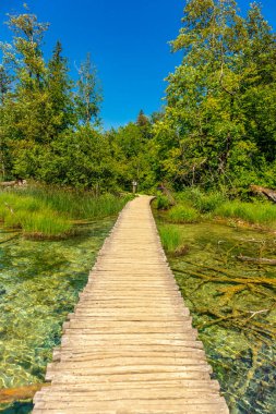 Güzel Plitvice Gölleri Ulusal Parkı 'nda keşif turu - Hırvatistan