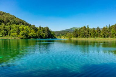 Güzel Plitvice Gölleri Ulusal Parkı 'nda keşif turu - Hırvatistan