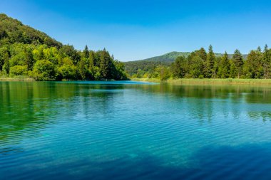 Güzel Plitvice Gölleri Ulusal Parkı 'nda keşif turu - Hırvatistan