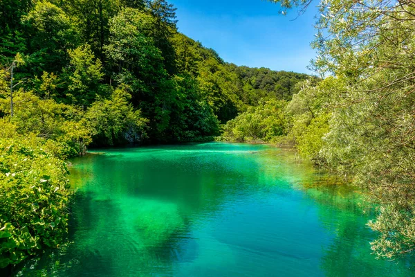 Visite Découverte Travers Magnifique Parc National Des Lacs Plitvice Croatie — Photo