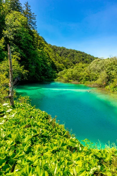 Tour Descubrimiento Por Hermoso Parque Nacional Los Lagos Plitvice Croacia — Foto de Stock