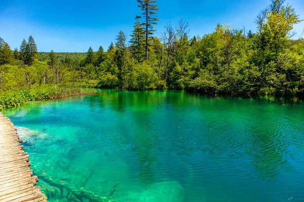 Passeio Descoberta Pelo Belo Parque Nacional Dos Lagos Plitvice Croácia — Fotografia de Stock