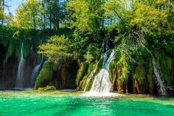 Visite Découverte Travers Magnifique Parc National Des Lacs Plitvice Croatie — Photo