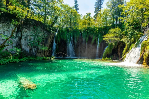 Visite Découverte Travers Magnifique Parc National Des Lacs Plitvice Croatie — Photo