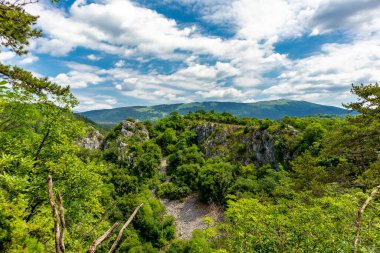 Kocjan Mağaraları Bölge Parkı - Kocjan - Hırvatistan Keşif Turu