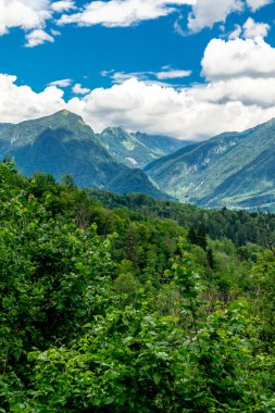 Bovec-Slovenya yakınlarındaki Virje şelalesinde yüzme eğlencesi