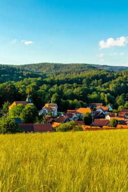 Yaz keşfi turu Steinbach-Hallenberg yakınlarındaki Thuringian Ormanı 'nda