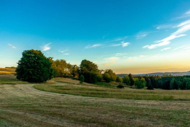 Yaz keşfi turu Steinbach-Hallenberg yakınlarındaki Thuringian Ormanı 'nda