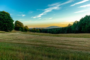 Yaz keşfi turu Steinbach-Hallenberg yakınlarındaki Thuringian Ormanı 'nda