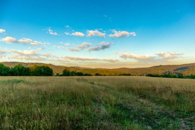 Yaz keşfi turu Steinbach-Hallenberg yakınlarındaki Thuringian Ormanı 'nda