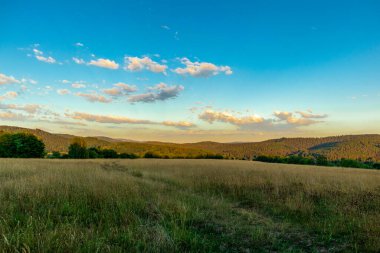 Yaz keşfi turu Steinbach-Hallenberg yakınlarındaki Thuringian Ormanı 'nda