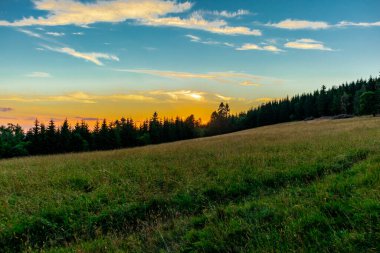 Yaz keşfi turu Steinbach-Hallenberg yakınlarındaki Thuringian Ormanı 'nda