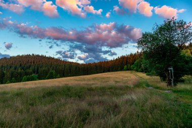 Yaz keşfi turu Steinbach-Hallenberg yakınlarındaki Thuringian Ormanı 'nda