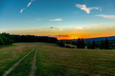 Yaz keşfi turu Steinbach-Hallenberg yakınlarındaki Thuringian Ormanı 'nda