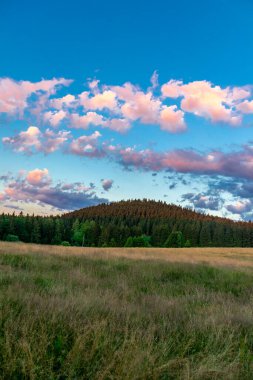 Yaz keşfi turu Steinbach-Hallenberg yakınlarındaki Thuringian Ormanı 'nda