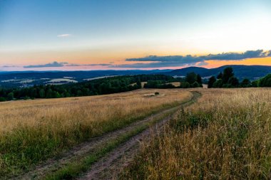 Yaz keşfi turu Steinbach-Hallenberg yakınlarındaki Thuringian Ormanı 'nda