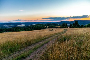 Yaz keşfi turu Steinbach-Hallenberg yakınlarındaki Thuringian Ormanı 'nda